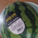 과일맛최고