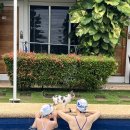 드림 | 보홀 리조트 가성비 만타 드림 리조트 후기