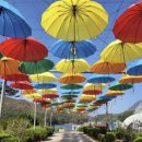 ＜172차＞2025년10월 18일 (토) 세째주 고석정 가을꽃축제+산정호수 트레킹 이미지