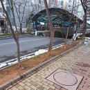 길훈세탁소 | [목동 신정아이파크 임장] 목동 비단지 아파트이지만 초중품아 아파트!