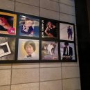 7080더비틀즈 이미지