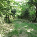 한라산둘레길 수악길 이미지