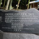 맹종죽테마공원 이미지