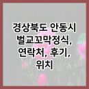 벌교꼬막정식 | 경상북도 안동시 벌교꼬막정식, 연락처, 후기, 위치