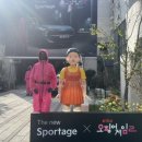 성수오징어