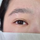 아이루비 | 인천 간석동속눈썹 속눈썹펌 루비펌 아이루비 방문후기