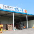효돈명품감귤 네이버블로그