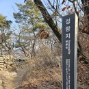 임학공원 출렁다리 이미지