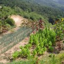 가음농장 이미지