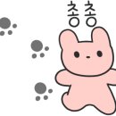 (주)콜드프레임 이미지