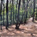 자연공원 이미지