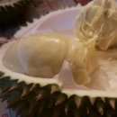 안단테민박 이미지