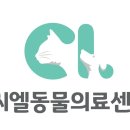카우만 동물병원 이미지