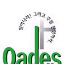 QADES 선교단의 단장님 인사말 이미지