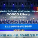 메탈솔루션(METAL SOLUTION) | 포스코필바라리튬솔루션 한국투자사례#韩国二次电池产业链的核心#POSCO Pilbara Lithium Solution