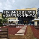 신현동-4 | 맛집 감성 가득한 신현동 카페 제주베어하우스] 제주 감성 가득한 신현동 카페 제주베어하우스 솔직후기