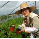 김동주농장 이미지