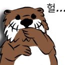 히포파운드