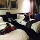 이루다호텔 앞 이미지