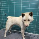 사문4길 15 이미지