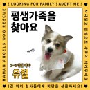 [함안보호소 유기견] 견생 2개월차 귀염뽀짝 "유월"이 가족을 찾아요!!! 이미지