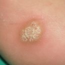 손피부과의원 이미지