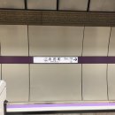 덴토라인