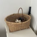 효스테이 이미지