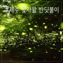 청수청년곱창 이미지