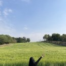 충남 당진 청보리밭 대형카페 추천:) 초록뷰 힐링카페 "피어라" 후기🌿🌳