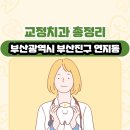 하나온치과의원 | 부산광역시 부산진구 연지동 교정치과 총정리