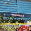 돌모리식당 이미지