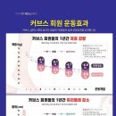 커브스가락클럽 이미지