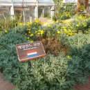 세계모란공원 이미지