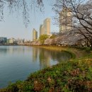 석촌공원길 이미지