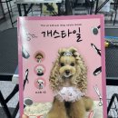 아온펫 이미지