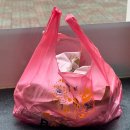 김밥과토스트 | 대구 달서구 성서 매참김밥과 토스트 맛집으로 유명한 바뷔치