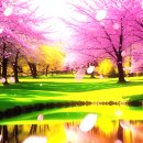 예뜨레음악학원 이미지