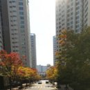 골든비치공인중개사사무소 이미지