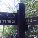 내리그집가자 이미지