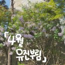 [4월 유진부림] 마리오카트/소재집/귀한족발/한창희천하일면/구도로통닭/뚜스뚜스/난장/슈퍼방구/청춘...