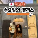 11545-01-52-36 | 나고야 오스 상점가 소품샵 수요일의 앨리스 포토존 소품