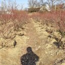 재삼농장 이미지