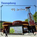 충북 영동 가볼만한곳, 영동 와인터널(실내 데이트 하기 좋은 곳)