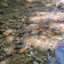 힐링펜션 리뮤 이미지