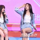 예인 이미지