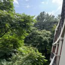 [워커힐 더글라스하우스] 조식과 라운지 포함인 노키즈존 호텔, 호캉스하기 좋은 워커힐 더글라스하우스