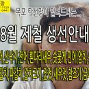 8월 제철 생선, 홍어, 낙지, 전어, 흰다리새우, 숫꽃게, 민어, 먹갈치, 파갈치, 잡젓, 새우젓, 기타 안내 입니다. 이미지