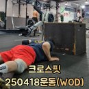 크로스핏225그라운드 | 크로스핏 20250418 운동 기록 및 후기 [WOD ep.30]