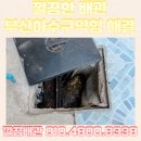 세척 | [부산 하수구막힘] 부산강서구두구동 하수구막힘 반복될 때 현장 점검으로 깔끔하게 해결한 후기